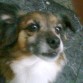 k wapa es  mi ninia
